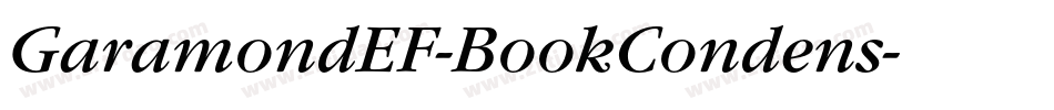 GaramondEF-BookCondens字体转换