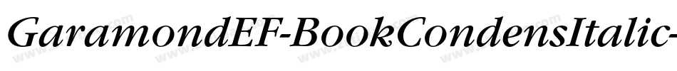 GaramondEF-BookCondensItalic字体转换