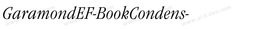 GaramondEF-BookCondens字体转换