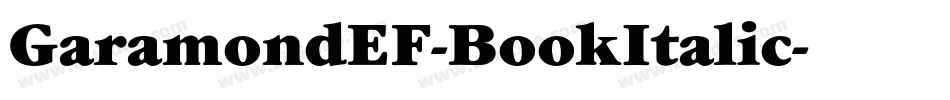 GaramondEF-BookItalic字体转换