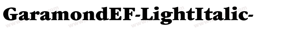 GaramondEF-LightItalic字体转换