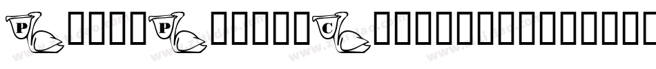 PeterPierreCondensed字体转换