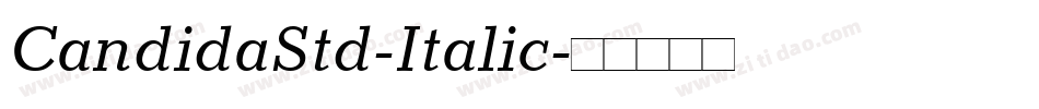 CandidaStd-Italic字体转换