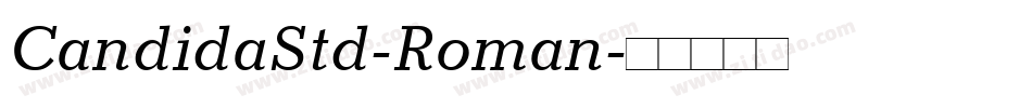 CandidaStd-Roman字体转换