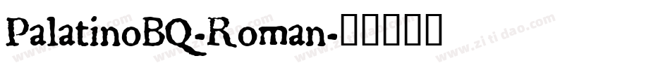 PalatinoBQ-Roman字体转换