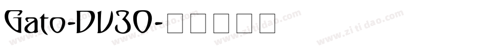 Gato-DV30字体转换