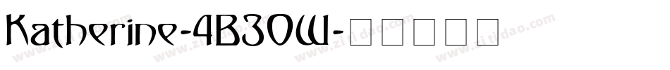 Katherine-4B30W字体转换