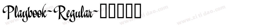 Playbook-Regular字体转换