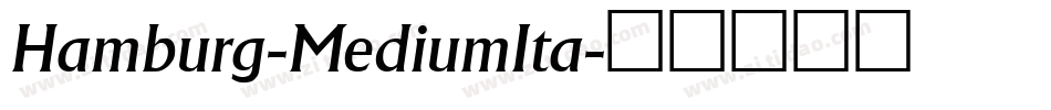 Hamburg-MediumIta字体转换