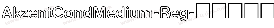 AkzentCondMedium-Reg字体转换