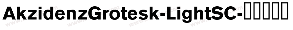 AkzidenzGrotesk-LightSC字体转换