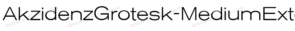 AkzidenzGrotesk-MediumExtendedItalic字体转换