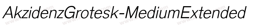 AkzidenzGrotesk-MediumExtendedItalic字体转换