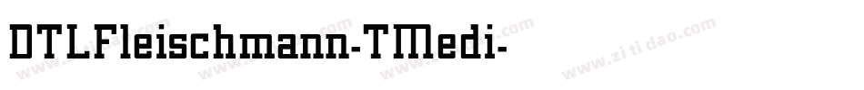 DTLFleischmann-TMedi字体转换