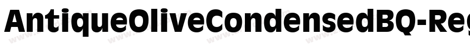 AntiqueOliveCondensedBQ-Regular字体转换