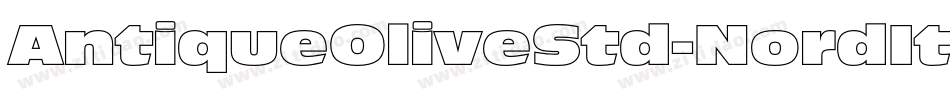 AntiqueOliveStd-NordItalic字体转换