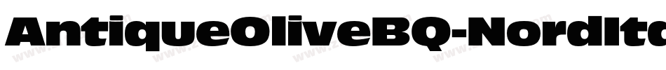 AntiqueOliveBQ-NordItalic字体转换
