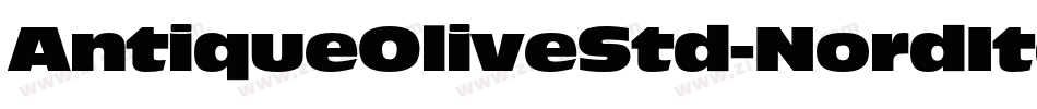 AntiqueOliveStd-NordItalic字体转换