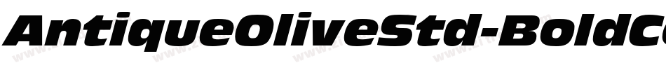 AntiqueOliveStd-BoldCond字体转换