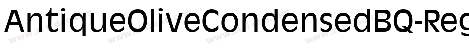 AntiqueOliveCondensedBQ-Regular字体转换