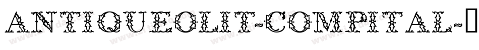 AntiqueOliT-CompItal字体转换