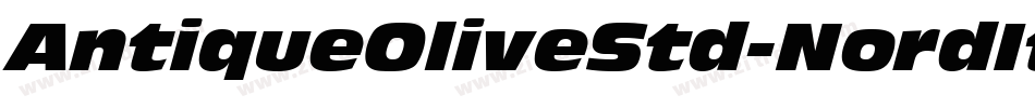 AntiqueOliveStd-NordItalic字体转换