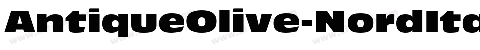 AntiqueOlive-NordItalic字体转换