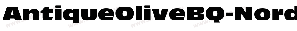 AntiqueOliveBQ-NordItalic字体转换