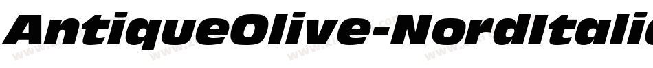 AntiqueOlive-NordItalic字体转换