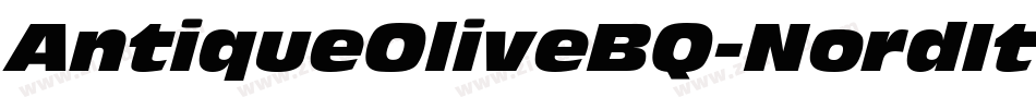 AntiqueOliveBQ-NordItalic字体转换