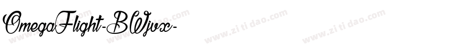 OmegaFlight-BWjvx字体转换