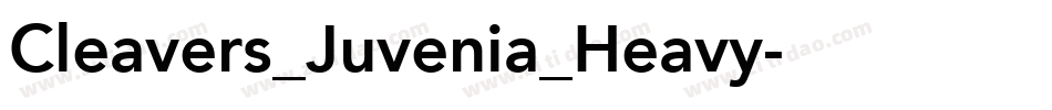 Cleavers_Juvenia_Heavy字体转换
