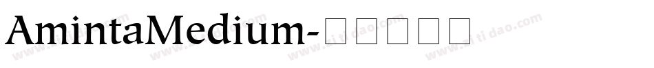 AmintaMedium字体转换