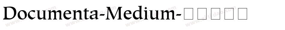 Documenta-Medium字体转换