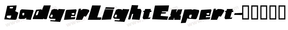 BadgerLightExpert字体转换