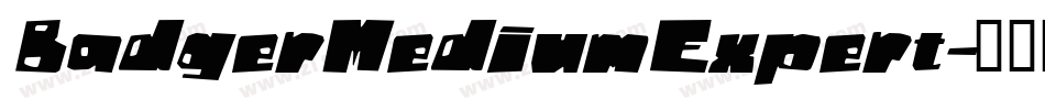 BadgerMediumExpert字体转换