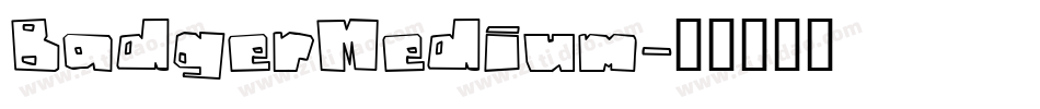 BadgerMedium字体转换