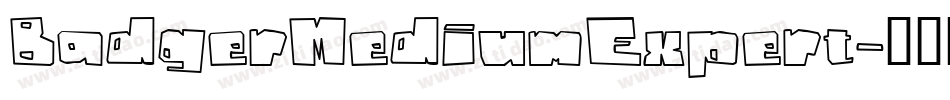 BadgerMediumExpert字体转换