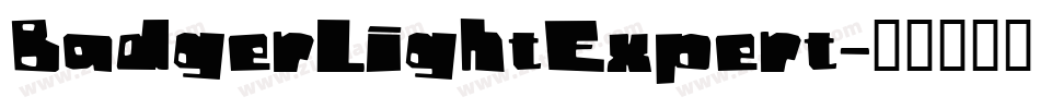 BadgerLightExpert字体转换
