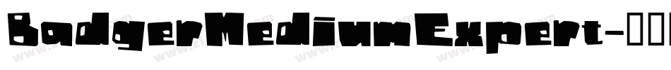 BadgerMediumExpert字体转换