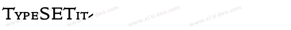 TypeSETit字体转换