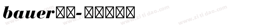 bauer字库字体转换