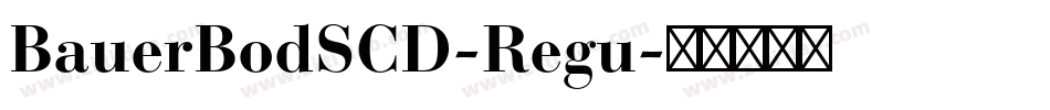 BauerBodSCD-Regu字体转换