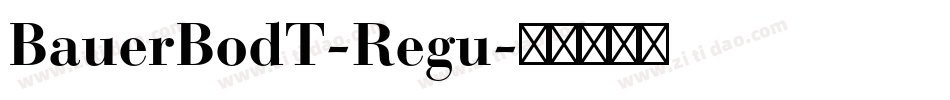 BauerBodT-Regu字体转换