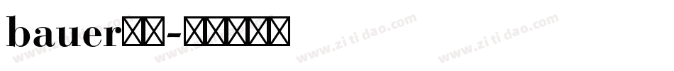 bauer字库字体转换