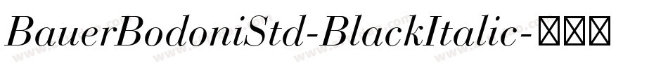 BauerBodoniStd-BlackItalic字体转换