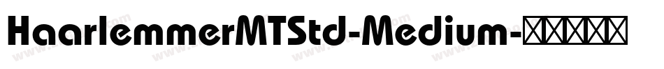 HaarlemmerMTStd-Medium字体转换
