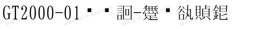 GT2000-01转换器字体转换