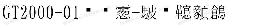 GT2000-01转换器字体转换