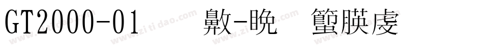 GT2000-01转换器字体转换